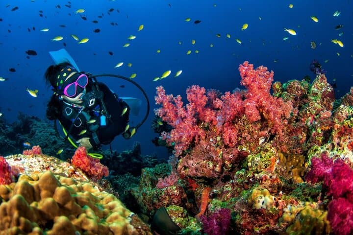 Three Fun Dives at Racha Yai & Racha Noi: Phuket Scuba Adventure for Certified Divers