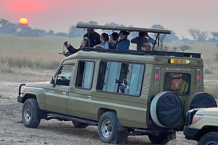 9-Day Uganda Big Five and Gorilla Trek: Budget Safari with Shoebill & Chimp Trekking photo 3