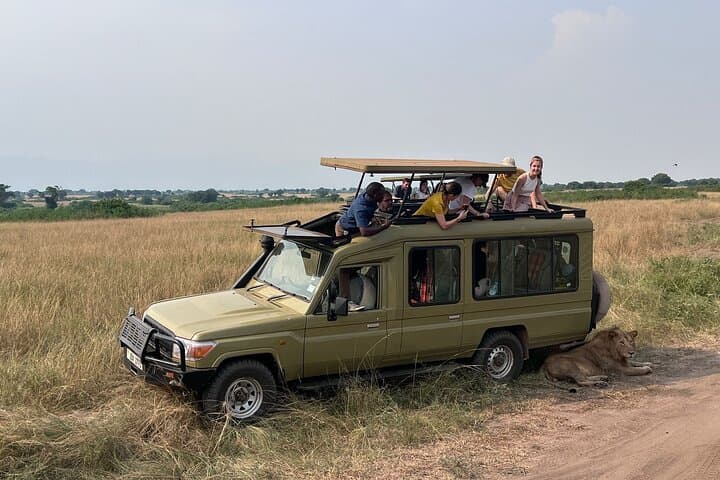 9-Day Uganda Big Five and Gorilla Trek: Budget Safari with Shoebill & Chimp Trekking photo 4