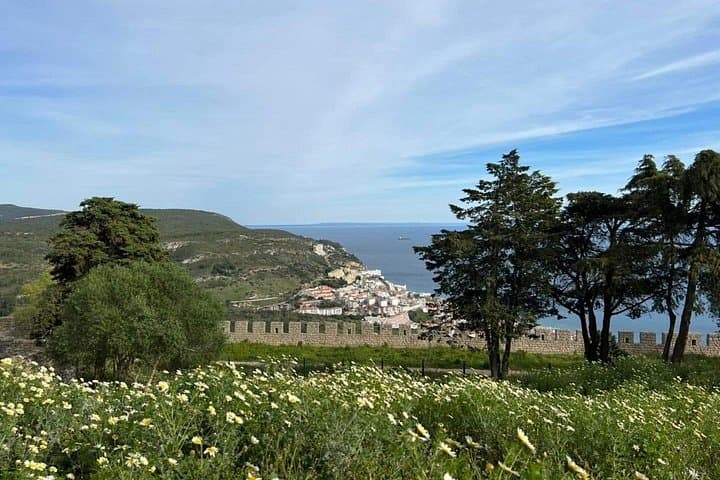 From Sesimbra Castle to Cabo Espichel: Coastal Sanctuary Day Tour photo 5