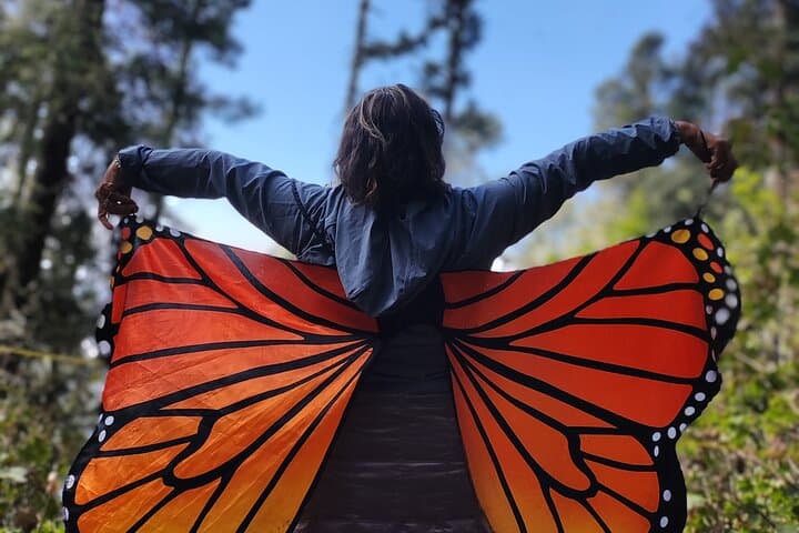 Piedra Herrada Monarch Reserve & Valle de Bravo Day Trip from Mexico City photo 4