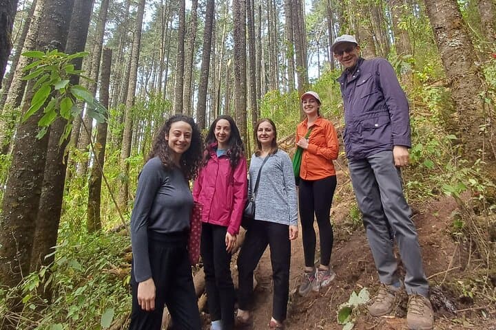 Piedra Herrada Monarch Reserve & Valle de Bravo Day Trip from Mexico City photo 3