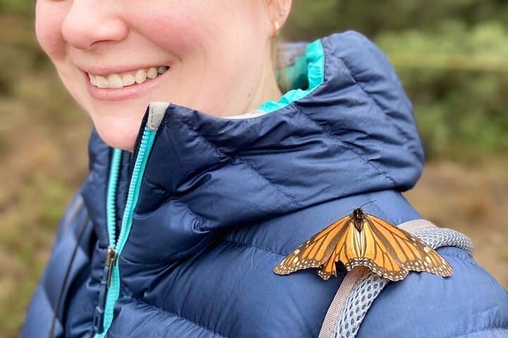 Monarch Butterfly Migration & Christmas Town Day Trip: Sierra Chincua and Tlalpujahua photo 3