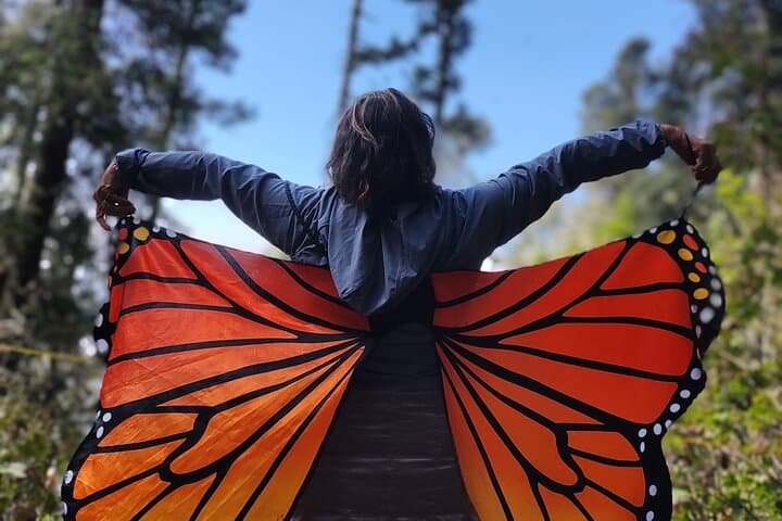 Monarch Butterfly Migration & Christmas Town Day Trip: Sierra Chincua and Tlalpujahua photo 6