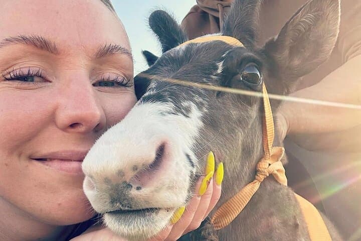 Private Sami Reindeer Encounter and Joik at Hammerfest photo 2