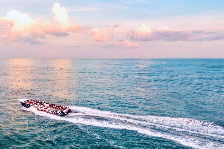 Sea Rocket Sunset Cruise: 1-Hour Harbor & Dolphin Tour in Ocean City MD photo 3
