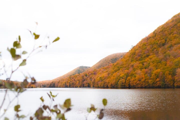Ingonish & Keltic Lodge: 6-Hour Cabot Trail Scenic Drive from Sydney