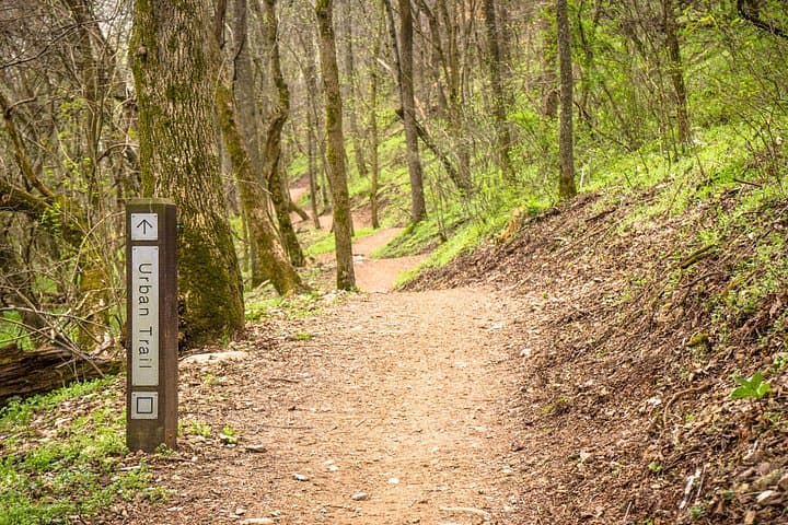 Bentonville Singletrack: Half-Day Mountain Bike Tour on Arkansas' Best Trails photo 2