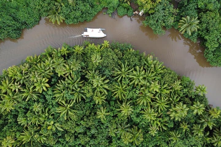 Apetahi Day Trip Around Raiatea — Dolphin Ballets, Snarl of Reefs & Faaroa River photo 2