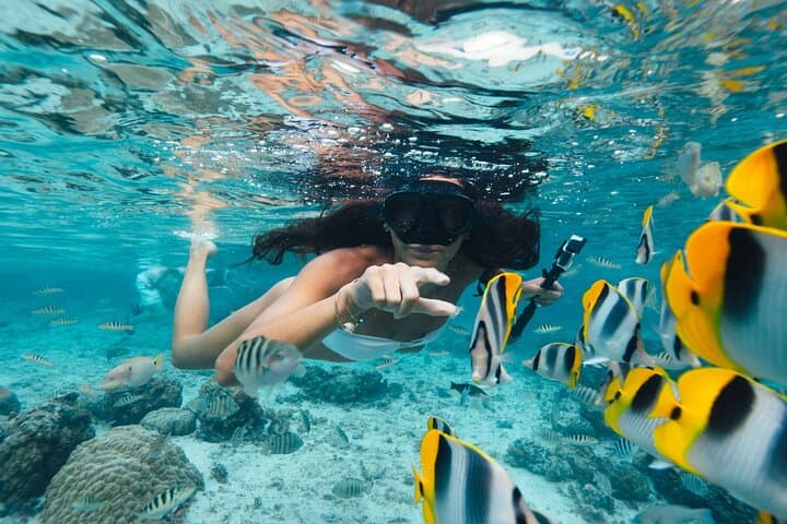 Tahaa Vanilla Tour: Full-Day Outrigger Canoe Excursion & Coral Garden Snorkel photo 2