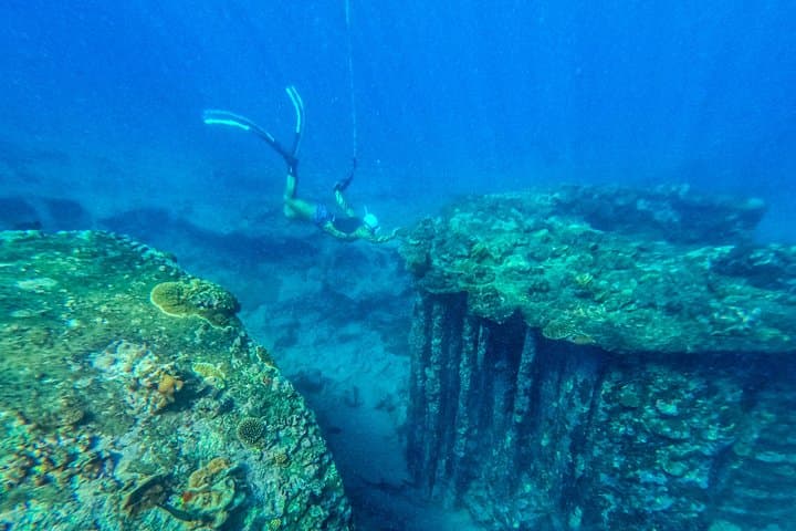 Sea Scooter Safari: Rarotonga Shipwreck & Coral Gardens Snorkel photo 3