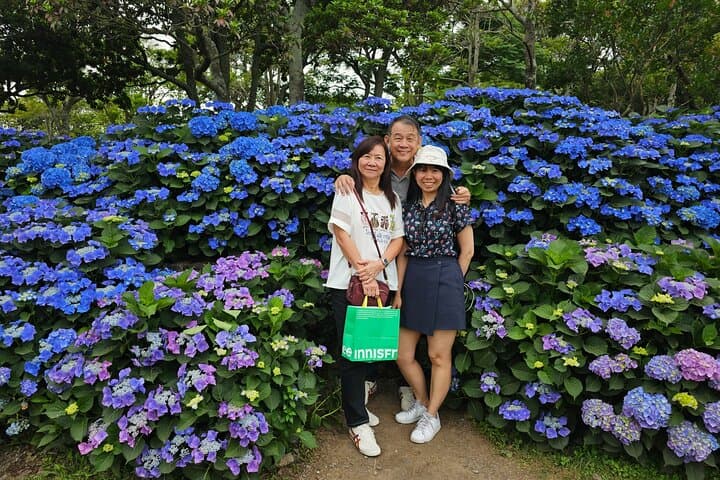 jeju-round-trip-transfer-to-osulloc-tea-museum photo 5