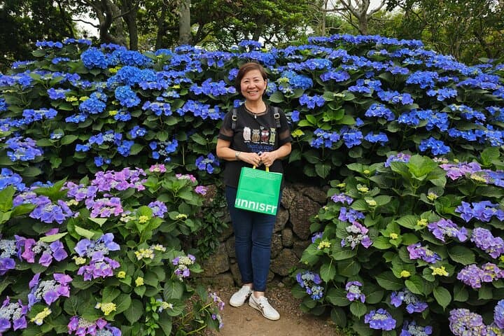 jeju-round-trip-transfer-to-osulloc-tea-museum photo 6