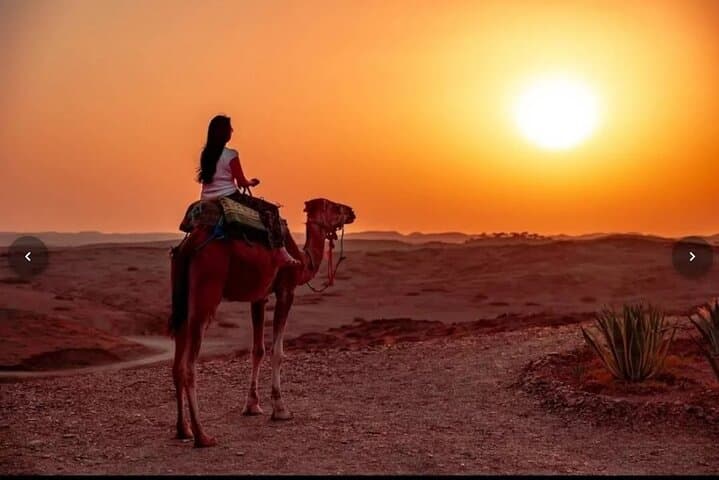 Agafay Desert Sunset: Camel Rides, Quad Biking & Dinner from Marrakech