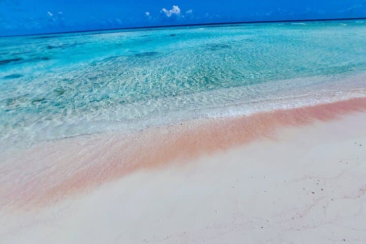Reef Island Motu Day — Rangiroa Pink Sand, Natural Pools & Tiputa Pass Dolphins photo 4