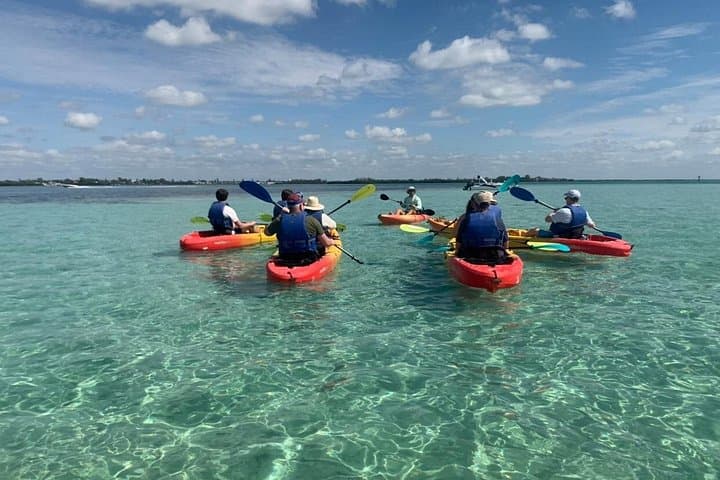 Kayak Island Tour from Coquina Beach — Dolphins, Manatees & Shell-Strewn Sandbars photo 2