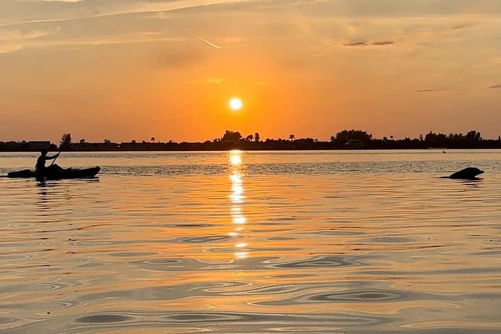 Sunset Kayak Dolphin Tour on Anna Maria Island — Bradenton Gulf Coast photo 4