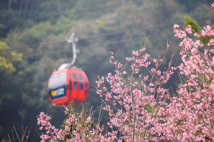 Sun Moon Lake 2-Day Private Tour from Taipei — Boat Rides, Temples & Taichung Architecture photo 4