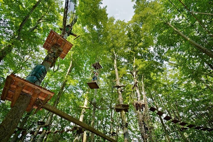 AbenteuerPark Potsdam: 2-Hour High-Ropes & Zip Line Adventure photo 2
