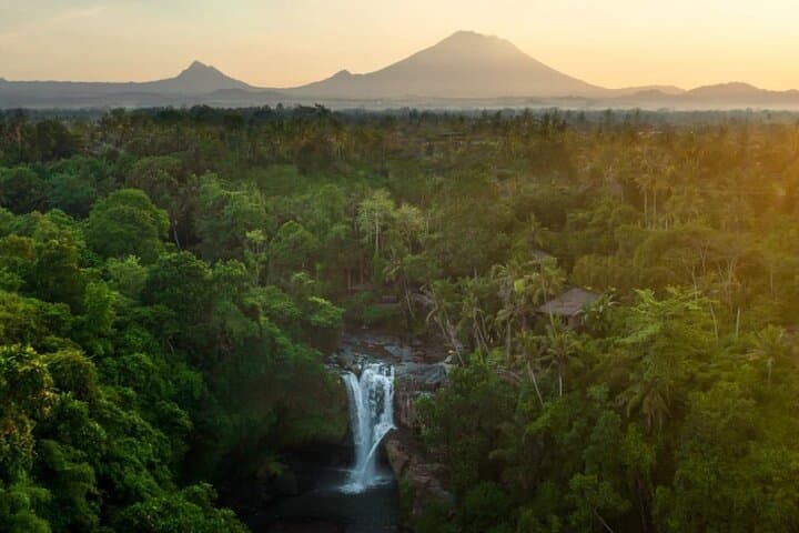 Bali ATV Quad Adventure: Ubud Monkey Forest & Waterfall Ride photo 5