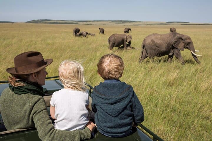 6-Day Private Safari from Arusha: Serengeti, Ngorongoro & Mt Kilimanjaro Day Hike