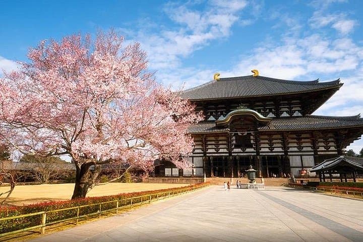 Customize Your One-Day Nara Tour: Deer, Todai-ji & Mount Wakakusa photo 2