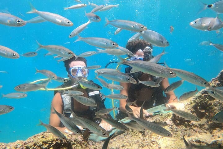 Scuba Diving from Kemer: Two Guided Bay Dives Near Antalya
