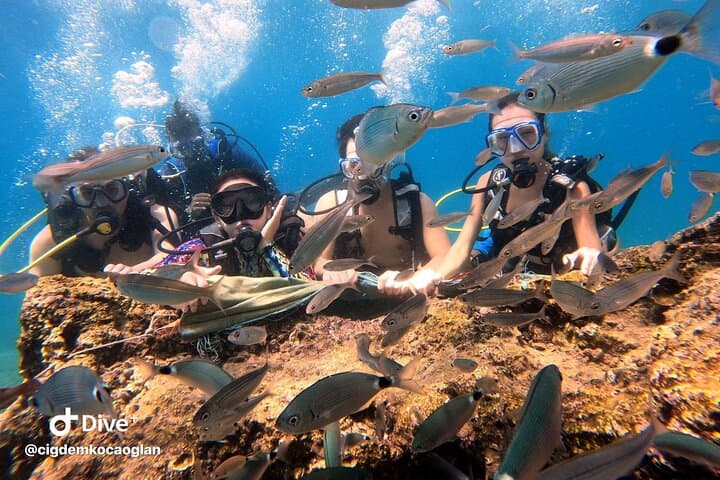 Scuba Diving from Kemer: Two Guided Bay Dives Near Antalya photo 2