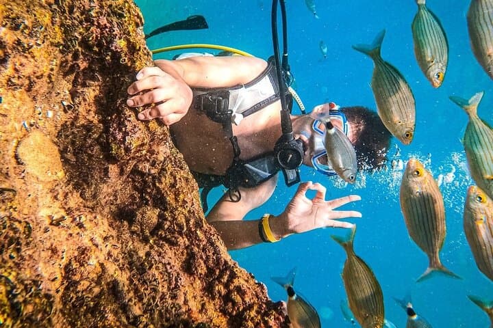 Scuba Diving from Kemer: Two Guided Bay Dives Near Antalya photo 3