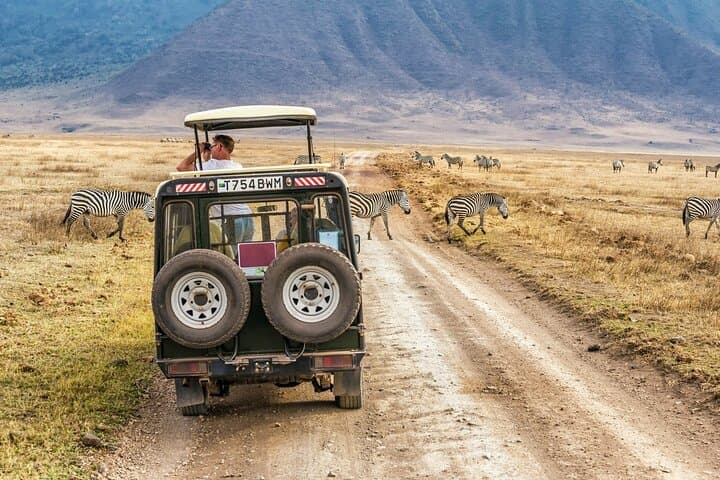 2-Day Safari to Tarangire & Lake Manyara from Zanzibar — Big Five Game Drives