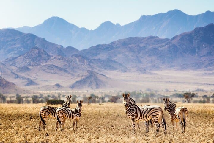 2-Day Safari to Tarangire & Lake Manyara from Zanzibar — Big Five Game Drives photo 2