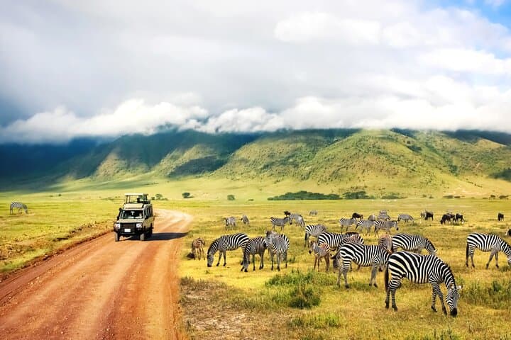 2-Day Safari to Tarangire & Lake Manyara from Zanzibar — Big Five Game Drives photo 3