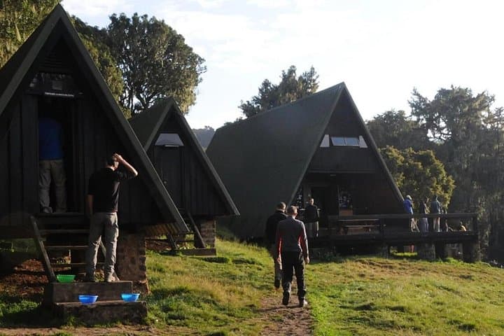 Marangu Day Hike to Kilimanjaro Base: Culture, Forest Trails & Views photo 6
