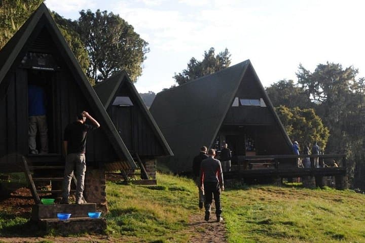 Marangu Day Hike to Kilimanjaro Base: Culture, Forest Trails & Views photo 5