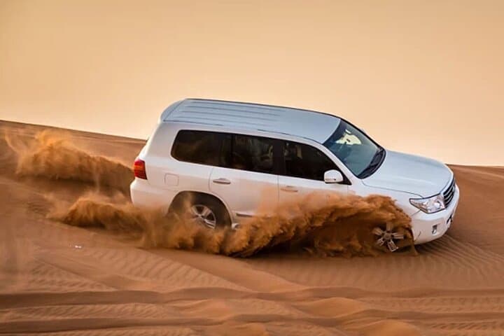 Evening Desert Safari Abu Dhabi: Dune Bashing, BBQ & Stargazing