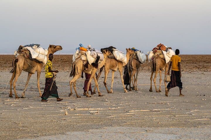 Danakil Depression 3-Day Adventure: Dallol, Erta Ale & Salt Flats photo 6