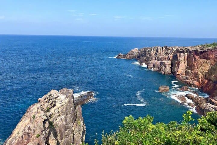Private Custom Wakayama Day Tour — Temples, Coast & Kumano Kodo Highlights photo 4