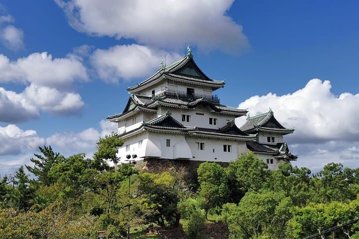Private Custom Wakayama Day Tour — Temples, Coast & Kumano Kodo Highlights photo 2