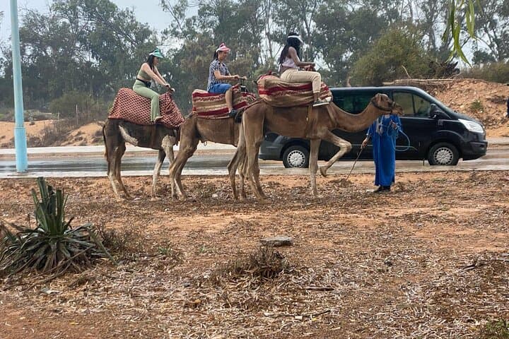 Agadir Camel Ride: 2-Hour Countryside Tour to the Souss River Mouth photo 4