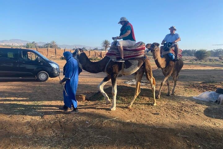 Agadir Camel Ride: 2-Hour Countryside Tour to the Souss River Mouth photo 5