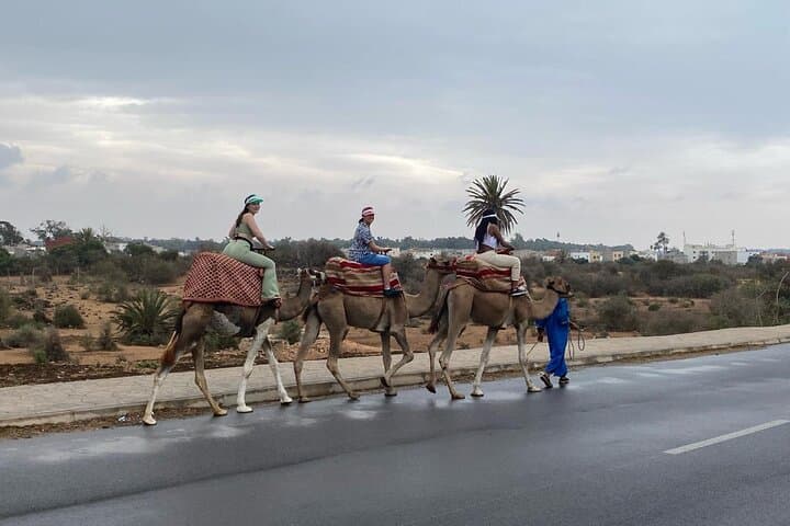 Agadir Camel Ride: 2-Hour Countryside Tour to the Souss River Mouth photo 6