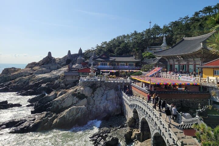 Busan Full-Day Private Tour — Customizable English-Language City Experience photo 2