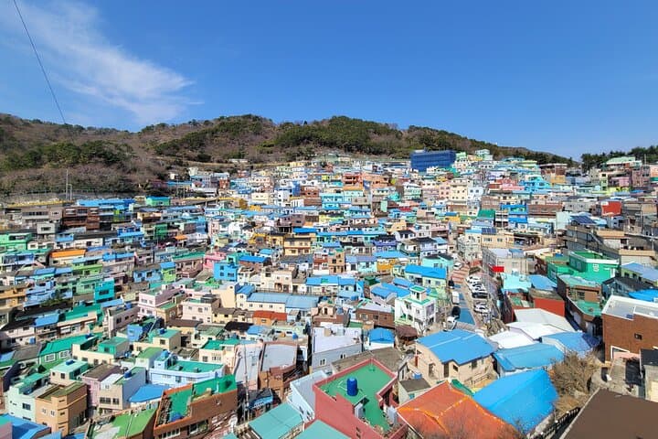 Busan Full-Day Private Tour — Customizable English-Language City Experience photo 3