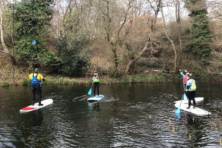 Half-Day Stand-Up Paddleboarding on the River Dart from Totnes photo 5