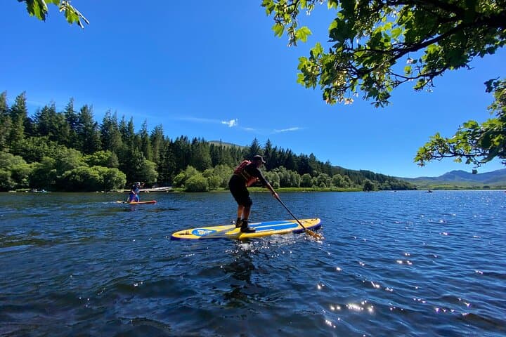 Half-Day Stand-Up Paddleboarding on the River Dart from Totnes photo 6