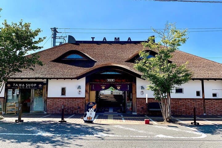 Private Custom Wakayama Day Tour — Temples, Coast & Kumano Kodo Highlights photo 3