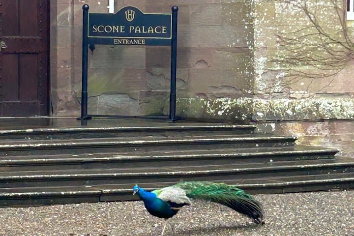 Glasgow Day Trip: Scone Palace, Hermitage Falls, Pitlochry & Tullibardine Whisky photo 2