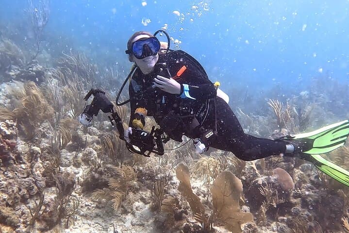 VIP Private 2-Tank Scuba Dive in Fajardo Reefs with PADI PADI Instructor