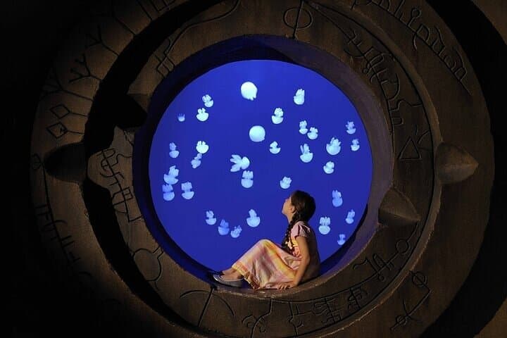 Exploring The Lost Chambers Aquarium: Dubai’s Immersive Underwater Experience