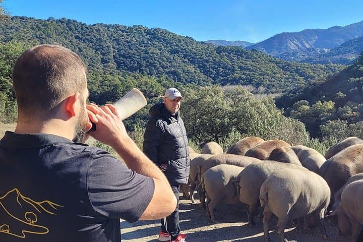 Genal Valley Iberian Pig Farm Tour & Tasting near Ronda photo 1